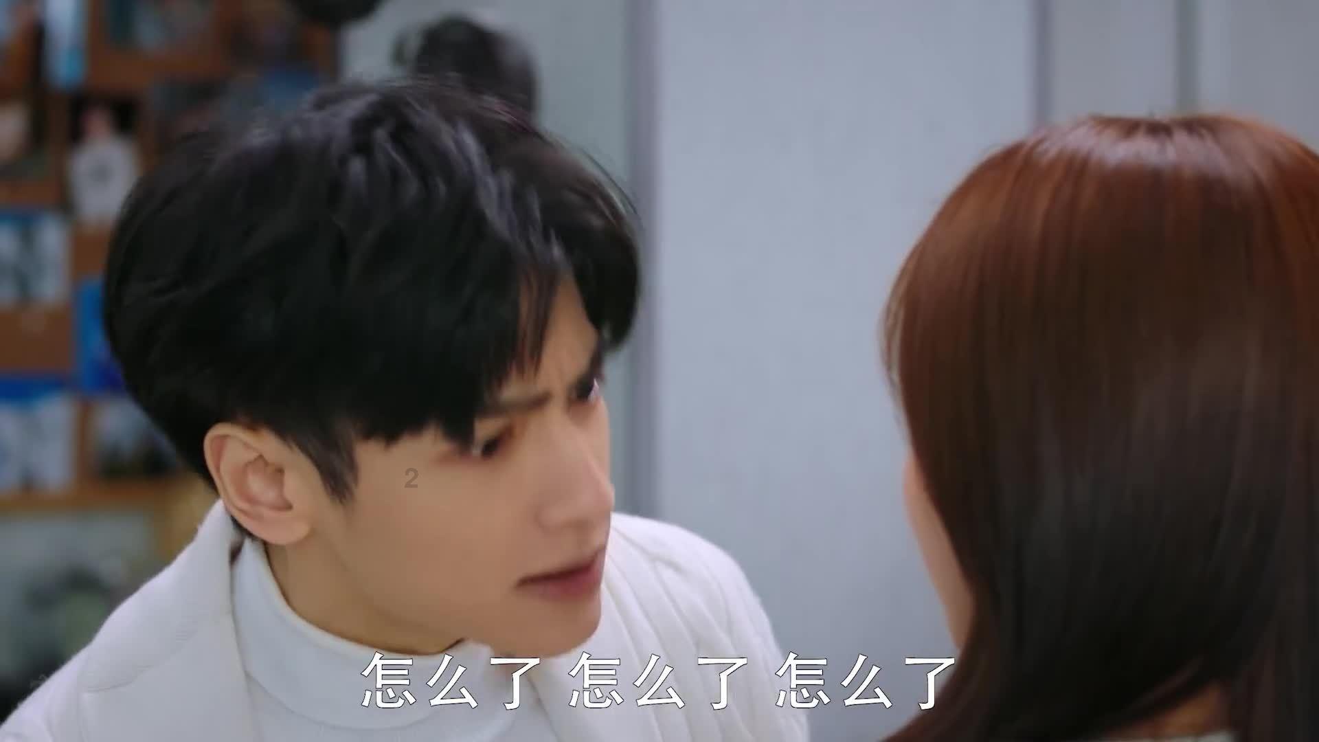 国王的坐骑