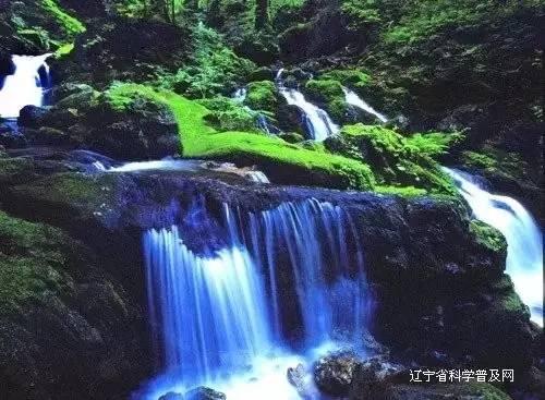 柳南区:织牢“三资”监督网 守好群众“钱袋子”